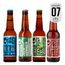Kit-Degustacao-BrewDog---4-unidades