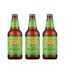 Pack-3-Cerveja-Sierra-Nevada-Pale-Ale-355ml