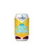 Cerveja-3-Daughters-Beach-Blond-Ale-Lata-350ml