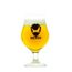Taca-Brewdog-Dublin-400ml
