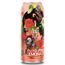 Cerveja-Dadiva-Pink-Lemonade-Lata-473ml