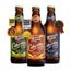 Kit-Degustacao-3-Lohn-Catarina-Sour-355ml