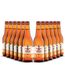 Pack-12-Cerveja-Imigracao-Pilsen-355ml
