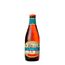 Cerveja-Anchor-Go-West-IPA-355ml