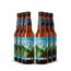 Pack-6-Cervejas-Anderson-Valley-Poleeko-Pale-Ale-3