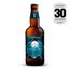Cerveja-Pratinha-Birudo-Witbier-500ml