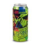 Cerveja-Everbrew-Enjoy-The-Spring-Lata-473ml